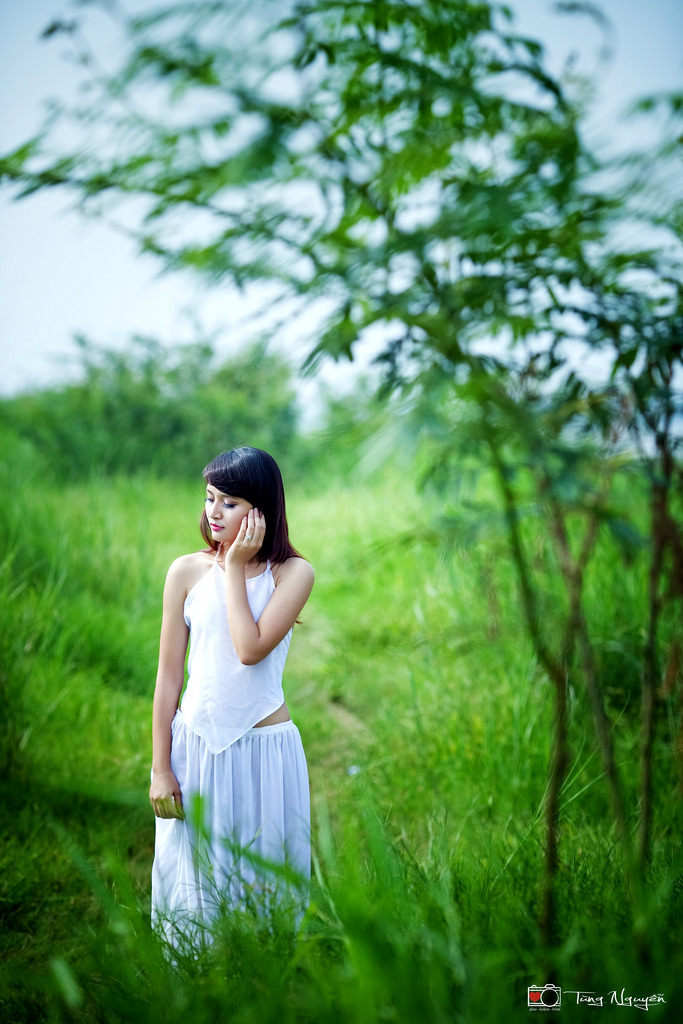 黄色小说污